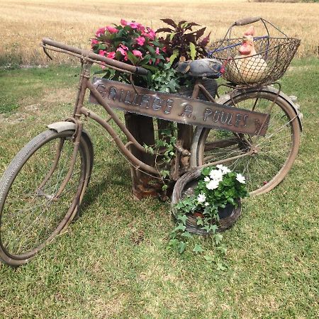 Châteaubernard Le Grillage A Poules Bed & Breakfast エクステリア 写真