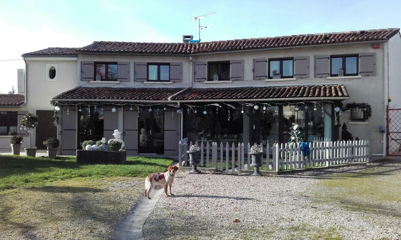 Châteaubernard Le Grillage A Poules Bed & Breakfast エクステリア 写真