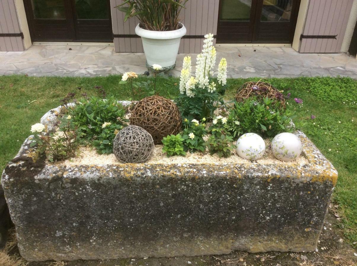 Châteaubernard Le Grillage A Poules Bed & Breakfast エクステリア 写真